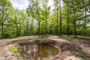 Photo for 23464 County Road 120, Lewiston, MN 55952 - Listing #6201007 23464 County Road 120, Lewiston, MN 55952