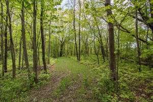 Photo for 23464 County Road 120, Lewiston, MN 55952 - Listing #6201007 23464 County Road 120, Lewiston, MN 55952