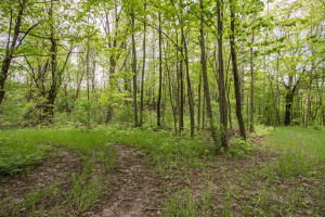Photo for 23464 County Road 120, Lewiston, MN 55952 - Listing #6201007 23464 County Road 120, Lewiston, MN 55952