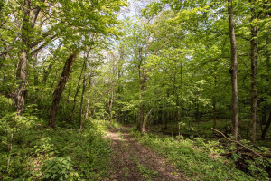 Photo for 23464 County Road 120, Lewiston, MN 55952 - Listing #6201007 23464 County Road 120, Lewiston, MN 55952