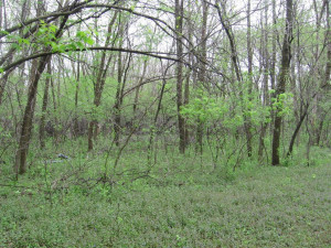 Photo for TBD 10th Place NE, Austin, MN 55912 - Listing #6204493 TBD 10th Place NE, Austin, MN 55912