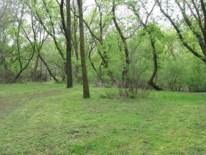 Photo for TBD 10th Place NE, Austin, MN 55912 - Listing #6204493 TBD 10th Place NE, Austin, MN 55912