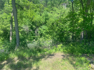 Photo for 403 Parkway Avenue N, Lanesboro, MN 55949 - Listing #6186882 303932A8-4811-4D00-A4DF-7BB10B15BC62.jpeg