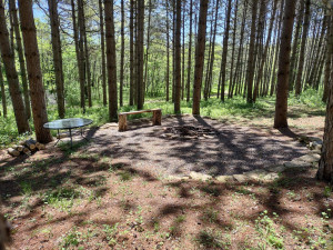 Photo for 1942 Deer Run Court SE, Eyota, MN 55934 - Listing #6199823 1942 Deer Run Court SE, Eyota, MN 55934