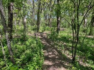 Photo for 1942 Deer Run Court SE, Eyota, MN 55934 - Listing #6199823 1942 Deer Run Court SE, Eyota, MN 55934