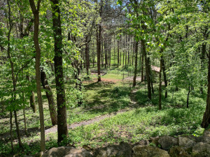 Photo for 1942 Deer Run Court SE, Eyota, MN 55934 - Listing #6199823 1942 Deer Run Court SE, Eyota, MN 55934