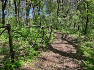 Photo for 1942 Deer Run Court SE, Eyota, MN 55934 - Listing #6199823 1942 Deer Run Court SE, Eyota, MN 55934