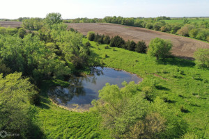 Photo for Redwood Avenue, IA - Listing #6215967 16218-photo-guthrie-county-iowa-farmland-for-sale-2022-05-25-1610084999.jpg