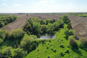 Photo for Redwood Avenue, IA - Listing #6215967 16218-photo-guthrie-county-iowa-farmland-for-sale-2022-05-25-1610078510.jpg