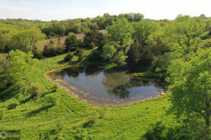 Photo for Redwood Avenue, IA - Listing #6215967 16218-photo-guthrie-county-iowa-farmland-for-sale-2022-05-25-1610075797.jpg