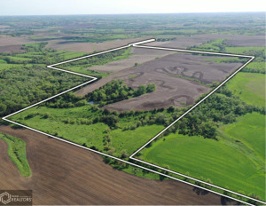 Photo for Redwood Avenue, IA - Listing #6215967 16218-photo-guthrie-county-iowa-farmland-for-sale-2022-05-25-1610063555.jpg