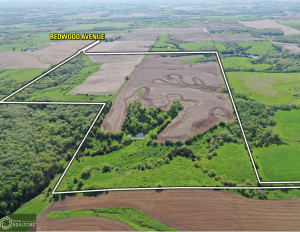 Photo for Redwood Avenue, IA - Listing #6215967 16218-photo-guthrie-county-iowa-farmland-for-sale-2022-05-25-1610051223.jpg