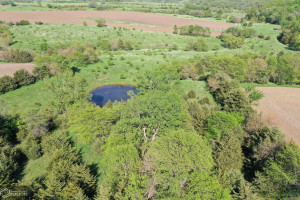 Photo for Redwood Avenue, IA - Listing #6215967 16218-photo-guthrie-county-iowa-farmland-for-sale-2022-05-25-1610044841.jpg
