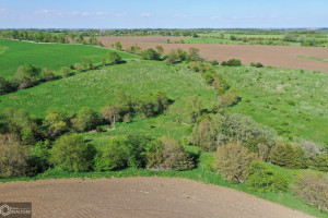 Photo for Redwood Avenue, IA - Listing #6215967 16218-photo-guthrie-county-iowa-farmland-for-sale-2022-05-25-1610027520.jpg