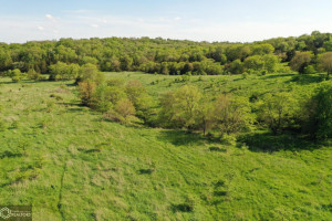 Photo for Redwood Avenue, IA - Listing #6215967 16218-photo-guthrie-county-iowa-farmland-for-sale-2022-05-25-1610017843.jpg