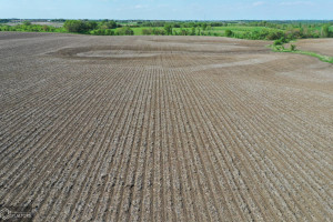 Photo for Redwood Avenue, IA - Listing #6215967 16218-photo-guthrie-county-iowa-farmland-for-sale-2022-05-25-1610005922.jpg