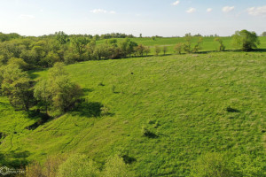 Photo for Redwood Avenue, IA - Listing #6215967 16218-photo-guthrie-county-iowa-farmland-for-sale-2022-05-25-1610001034.jpg