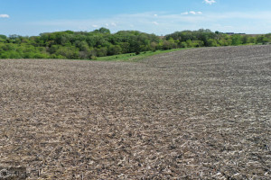 Photo for Redwood Avenue, IA - Listing #6215967 16218-photo-guthrie-county-iowa-farmland-for-sale-2022-05-25-1609598534.jpg