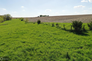 Photo for Redwood Avenue, IA - Listing #6215967 16218-photo-guthrie-county-iowa-farmland-for-sale-2022-05-25-1609587816.jpg