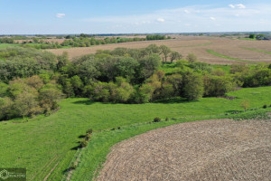 Photo for Redwood Avenue, IA - Listing #6215967 16218-photo-guthrie-county-iowa-farmland-for-sale-2022-05-25-1609586775.jpg