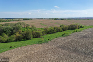 Photo for Redwood Avenue, IA - Listing #6215967 16218-photo-guthrie-county-iowa-farmland-for-sale-2022-05-25-1609585679.jpg
