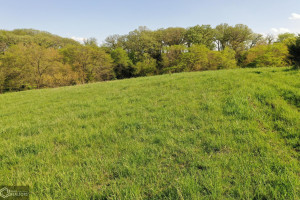 Photo for Redwood Avenue, IA - Listing #6215967 16218-photo-guthrie-county-iowa-farmland-for-sale-2022-05-25-1609579300.jpg