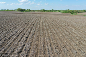 Photo for Redwood Avenue, IA - Listing #6215967 16218-photo-guthrie-county-iowa-farmland-for-sale-2022-05-25-1609574339.jpg