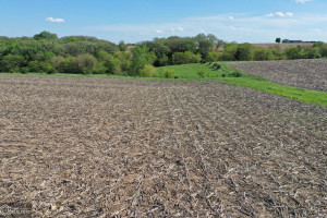 Photo for Redwood Avenue, IA - Listing #6215967 16218-photo-guthrie-county-iowa-farmland-for-sale-2022-05-25-1609562494.jpg