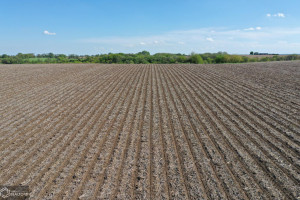 Photo for Redwood Avenue, IA - Listing #6215967 16218-photo-guthrie-county-iowa-farmland-for-sale-2022-05-25-1609558837.jpg