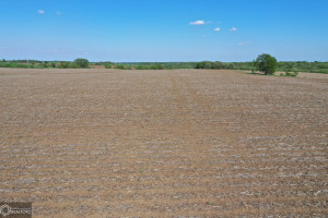 Photo for Redwood Avenue, IA - Listing #6215967 16218-photo-guthrie-county-iowa-farmland-for-sale-2022-05-25-1609553604.jpg