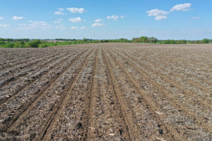 Photo for Redwood Avenue, IA - Listing #6215967 16218-photo-guthrie-county-iowa-farmland-for-sale-2022-05-25-1609551044.jpg