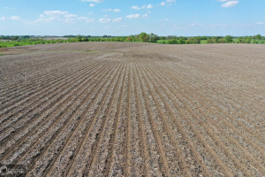 Photo for Redwood Avenue, IA - Listing #6215967 16218-photo-guthrie-county-iowa-farmland-for-sale.jpg