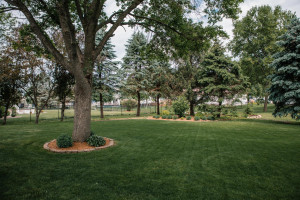 Photo for 801 27th Street SW, Austin, MN 55912 - Listing #6217682 801 27th Street SW, Austin, MN 55912