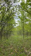 Photo for 4491 Hadley Valley Road NE, Rochester, MN 55906 - Listing #6198490 4491 Hadley Valley Road NE, Rochester, MN 55906