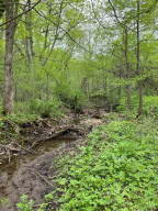 Photo for 4491 Hadley Valley Road NE, Rochester, MN 55906 - Listing #6198490 4491 Hadley Valley Road NE, Rochester, MN 55906