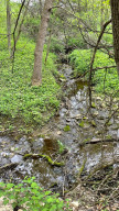 Photo for 4491 Hadley Valley Road NE, Rochester, MN 55906 - Listing #6198490 natural streams just beautiful in the back acres