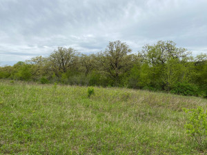 Photo for 4491 Hadley Valley Road NE, Rochester, MN 55906 - Listing #6198490 4491 Hadley Valley Road NE, Rochester, MN 55906