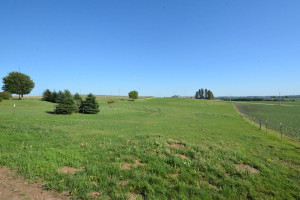 Photo for 8229 10th Street SW, Byron, MN 55920 - Listing #6221290 8229 10th Street SW, Byron, MN 55920