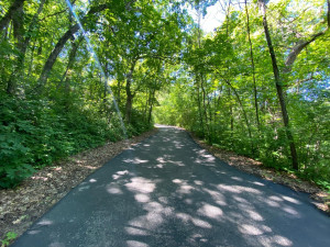 Photo for 5737 Fox Chase Drive, Hokah, MN 55941 - Listing #6220909 448ADCFF-8900-4493-89DF-13EED72E62F4.jpeg