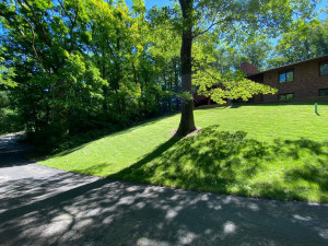 Photo for 5737 Fox Chase Drive, Hokah, MN 55941 - Listing #6220909 D83661D0-228B-4E74-8076-9200F485C813.jpeg