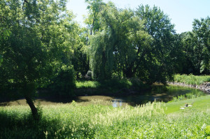 Photo for 204 24th Street NW, Austin, MN 55912 - Listing #6220965 204 24th Street NW, Austin, MN 55912