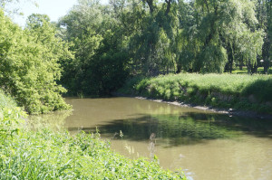 Photo for 204 24th Street NW, Austin, MN 55912 - Listing #6220965 204 24th Street NW, Austin, MN 55912