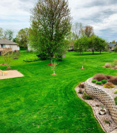 Photo for 714 5th Street NW, Richmond, MN 56368 - Listing #6199191 Beautiful maple and two honey crisp apple trees.