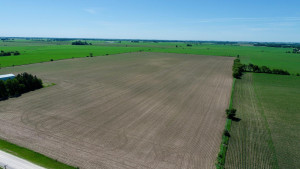 Photo for xxxx County 12, Spring Valley, MN 55975 - Listing #6222908 xxxx County 12, Spring Valley, MN 55975