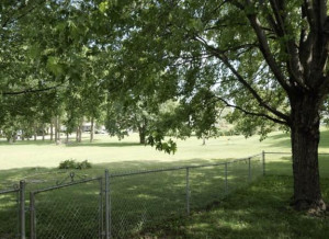 Photo for 120 E South Street, Dover, MN 55929 - Listing #6223736 120 E South Street, Dover, MN 55929