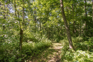 Photo for 20967 212th Street, Preston, MN 55965 - Listing #6184274 20967 212th Street, Preston, MN 55965