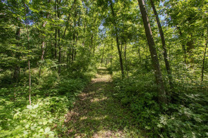 Photo for 20967 212th Street, Preston, MN 55965 - Listing #6184274 20967 212th Street, Preston, MN 55965