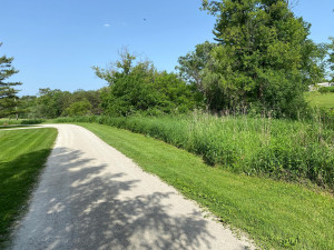 Photo for 29821 Hardwood Road, Chatfield, MN 55923 - Listing #6219852 29821 Hardwood Road, Chatfield, MN 55923