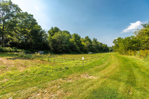 Photo for 23750 US Hwy 52, Preston, MN 55965 - Listing #6028578 23750 US Hwy 52, Preston, MN 55965