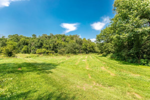 Photo for 23750 US Hwy 52, Preston, MN 55965 - Listing #6028578 23750 US Hwy 52, Preston, MN 55965